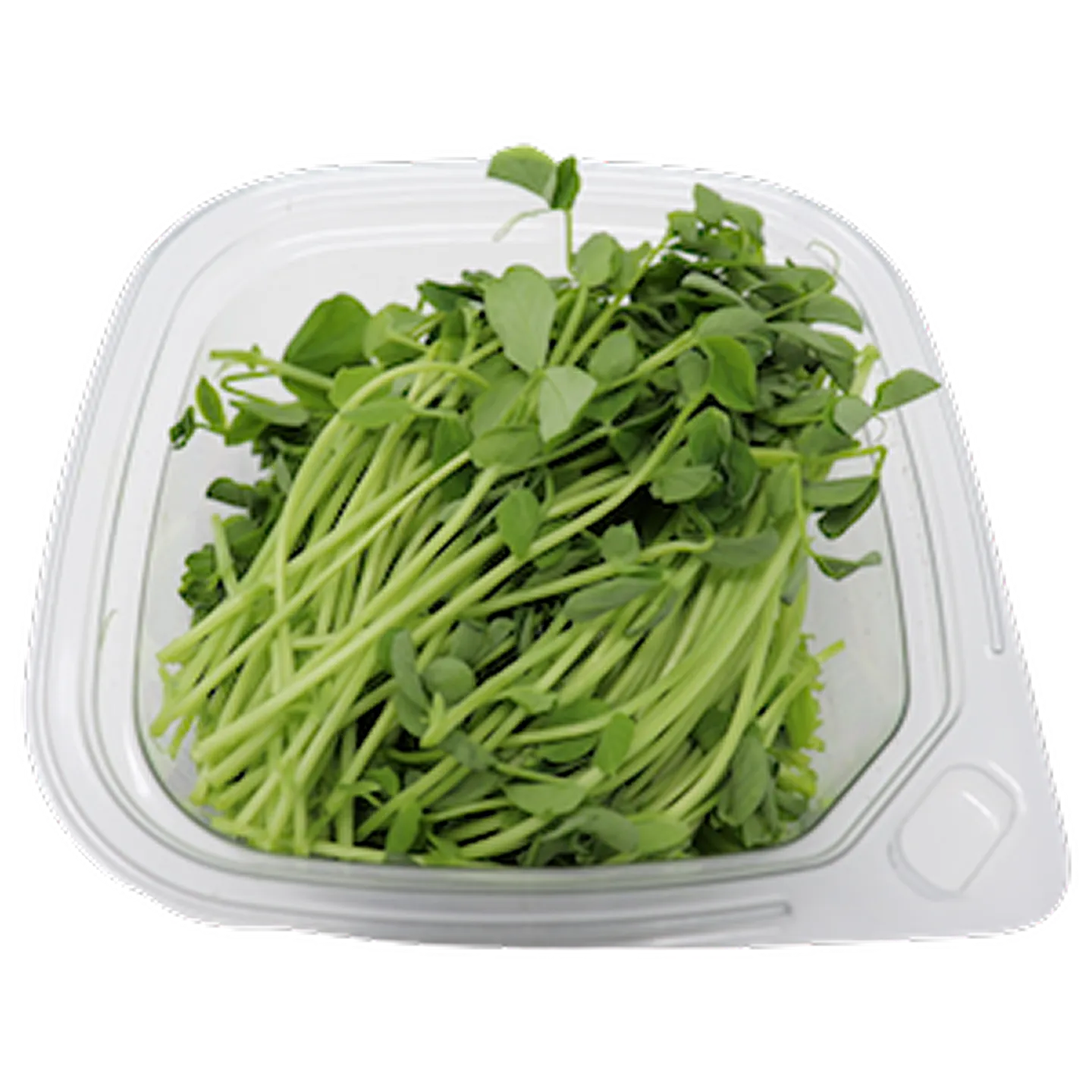 Pea Shoots 1 Pea Shoots