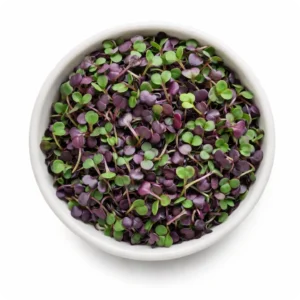 Home 16 Radish Microgreens