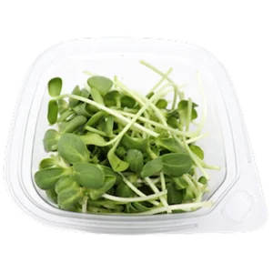 Home 18 Sunflower Shoots